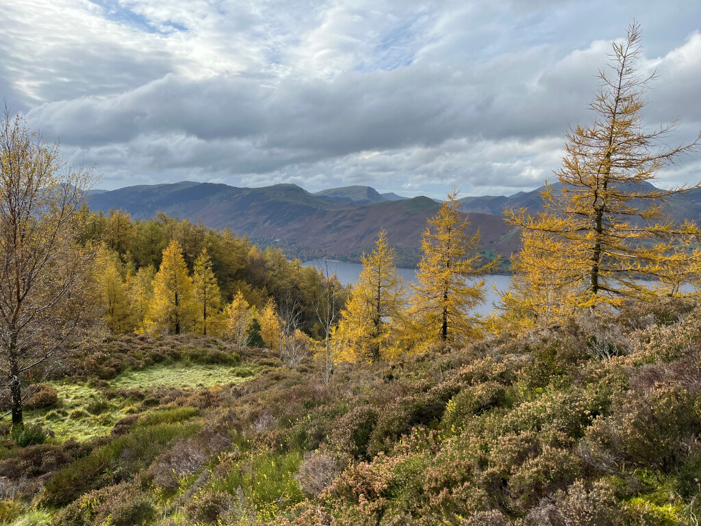 Derwent Water from Walla Crag, Cumbria